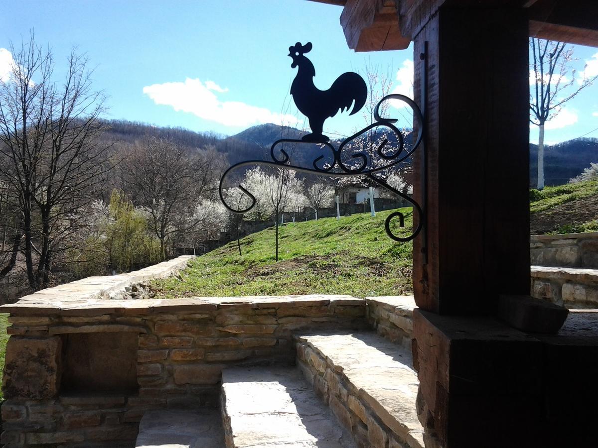 Villa Lavanda Elena Esterno foto